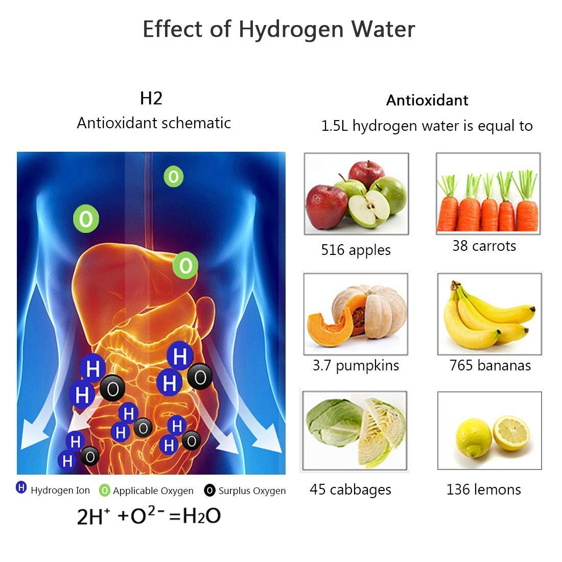CYNTRIX™   - HYDROGEN WATER BOTTLE